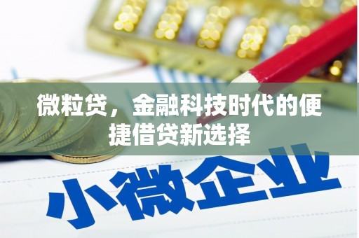 甘洛微粒贷，金融科技时代的便捷借贷新选择