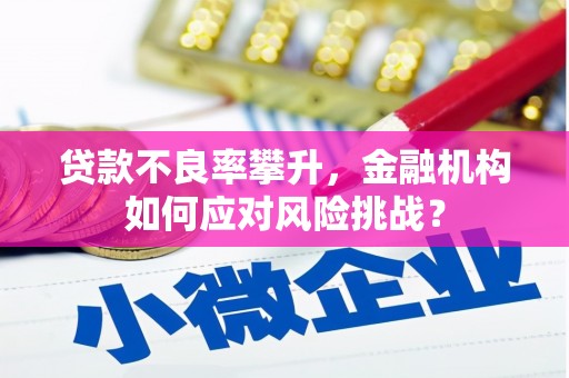 甘洛贷款不良率攀升，金融机构如何应对风险挑战？