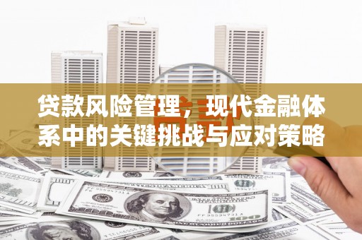 甘洛贷款风险管理，现代金融体系中的关键挑战与应对策略