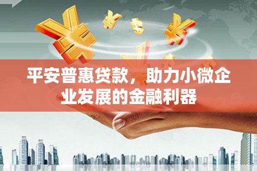 甘洛平安普惠贷款，助力小微企业发展的金融利器