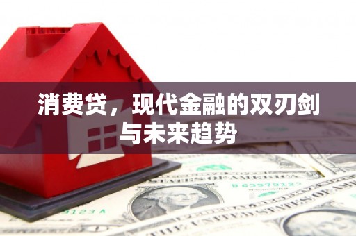 甘洛消费贷，现代金融的双刃剑与未来趋势