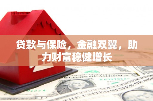 甘洛贷款与保险，金融双翼，助力财富稳健增长