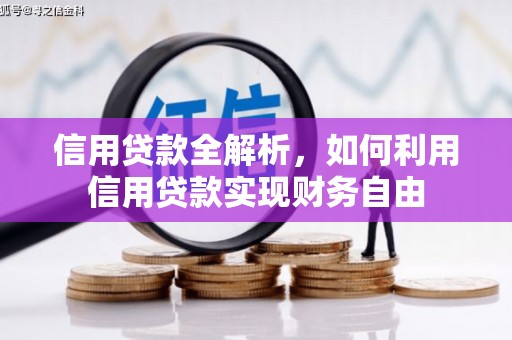 甘洛信用贷款全解析，如何利用信用贷款实现财务自由