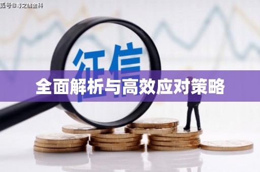 甘洛全面解析与高效应对策略