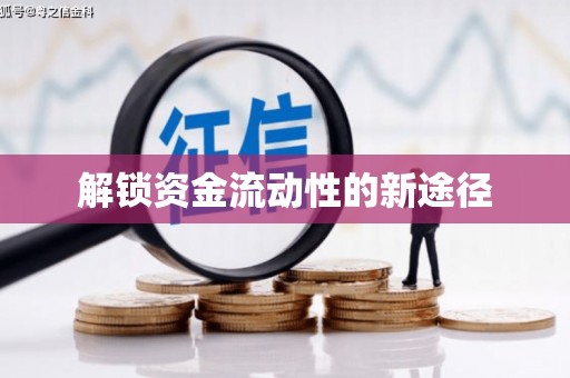 甘洛解锁资金流动性的新途径