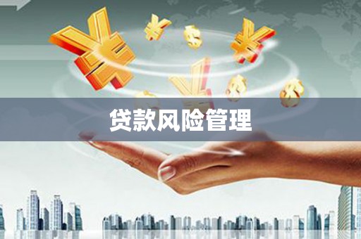 甘洛贷款风险管理