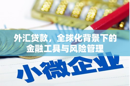 甘洛外汇贷款，全球化背景下的金融工具与风险管理