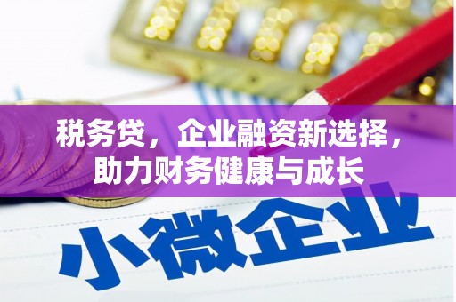 甘洛税务贷，企业融资新选择，助力财务健康与成长